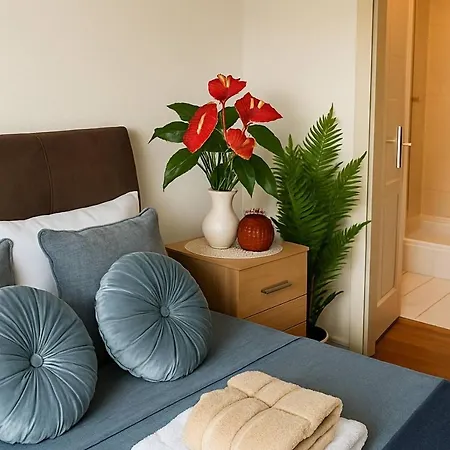 Séjour chez l'habitant The Blue Haven - Calm And Cozy Cork